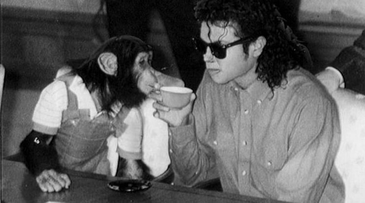 Мавпа бабблз, Мавпа, Мавпа майкла Джексона