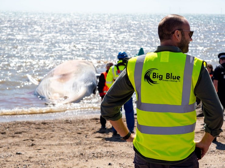 эссекс, кит