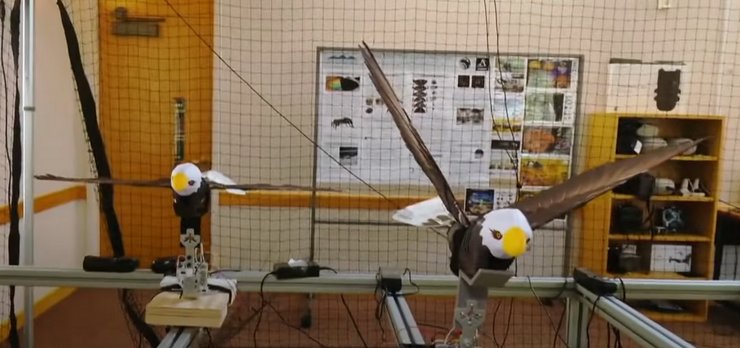 дрон, дроны, беспилотник, БПЛА в форме птицы