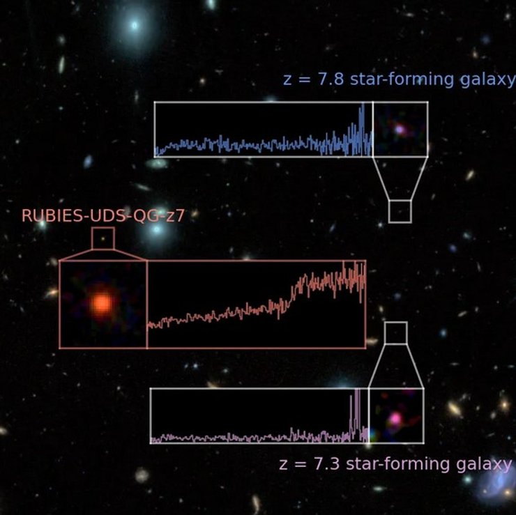 галактика RUBIES-UDS-QG-z7