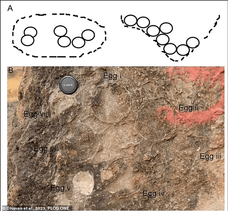 динозаври, яйця, індія