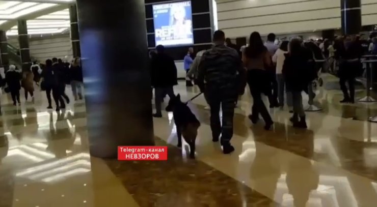 кинолог теракт в Крокусе