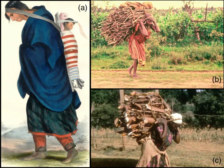 захоронение, раскопки, археологи, археология, история, ремень, женщины, спина, позвоночник, останки, позвонки, череп, скелет