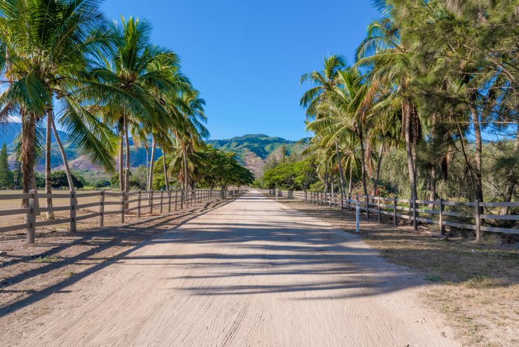 Фото: Hawai"i Life/Cushman & Wakefield