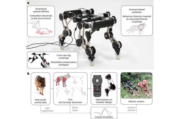 Робот, собака, двигатели, технологии, фото