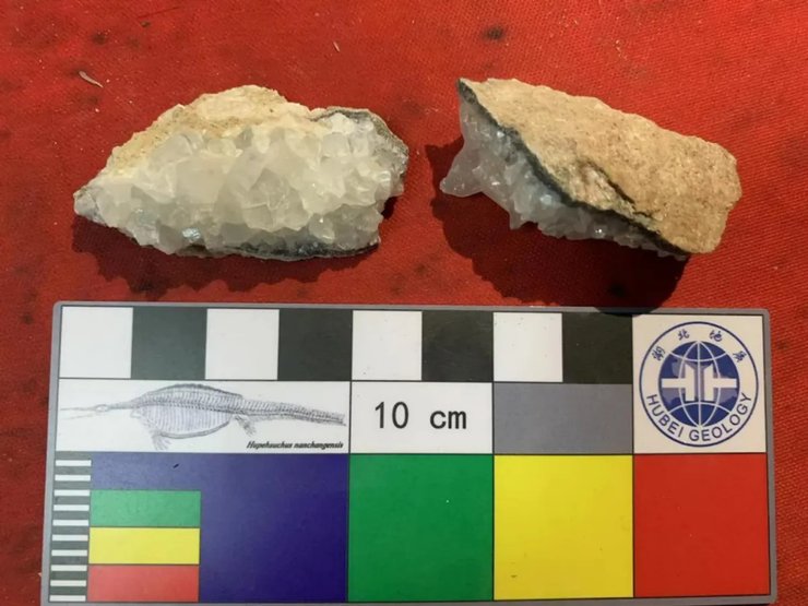 яйце динозавра