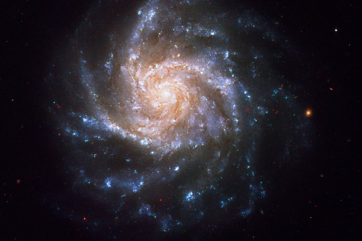 спіральна галактика NGC 1376
