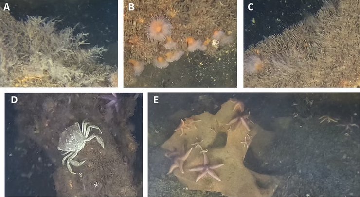 Фото досліджень