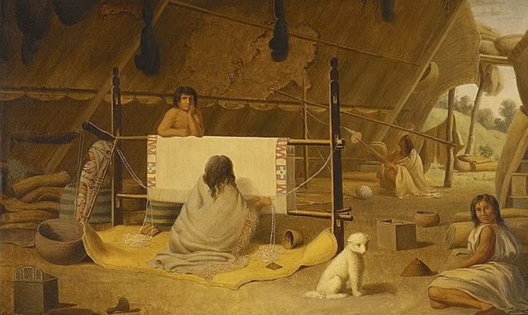 Салишская шерстяная собака, породы собак, исчезнувшие породы собак, редкие породы собак, собаки, домашние собаки, охотничьи собаки,