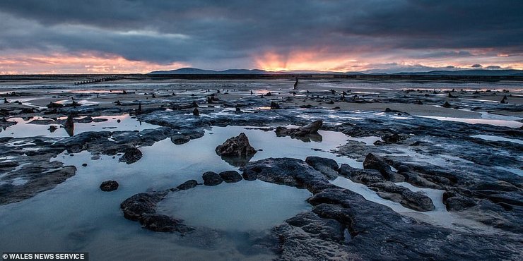 уэльс, каменный лес