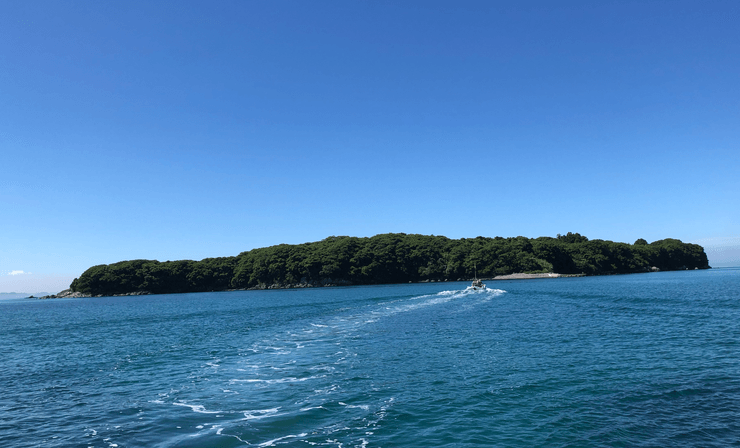 Остров Цумага, Япония, прятки на безлюдном острове, соревнование по пряткам, игра в прятки, безлюдный остров