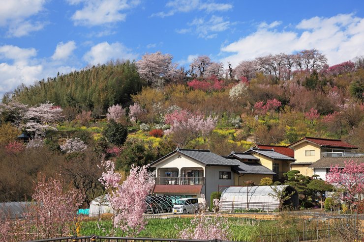 Фукусима, Япония