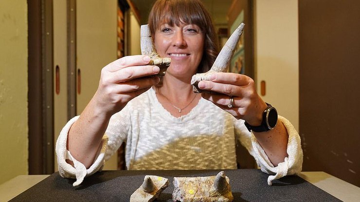 Сюзанна Мейдмент, останки, шипы, динозавр