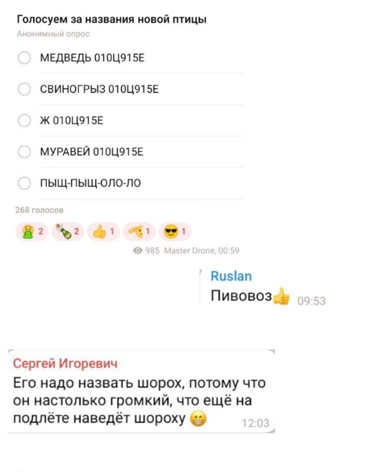 Люди в интернете посмеялись даже над названием нового российского дрона