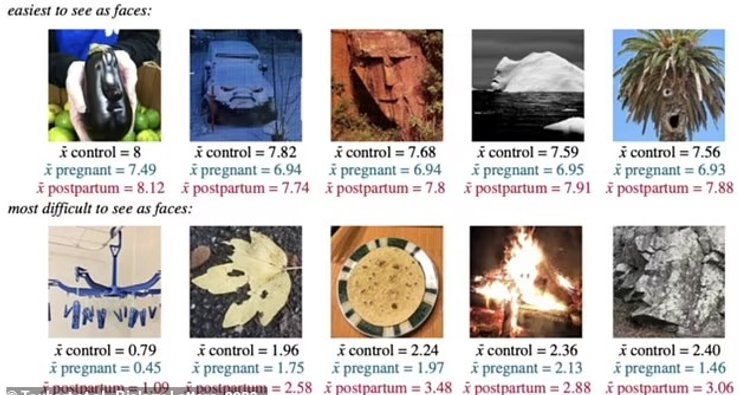 лица на предметах