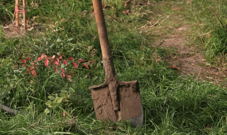 Золоте родовище випадково знайшов на своїй землі чоловік з Франції