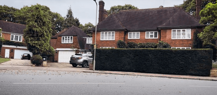 Дом сына Лисина