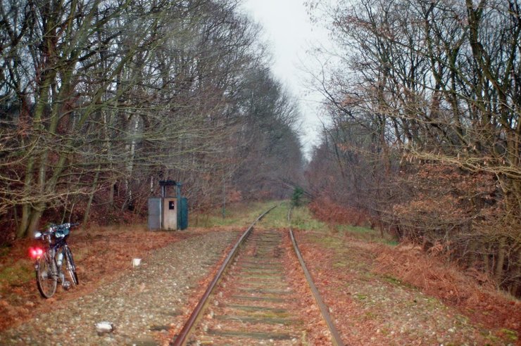 ЄС хотіло б відновити стару залізницю Залізний Рейн