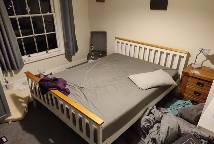 Барсук разгромил дом, Великобритания, дикие звери в доме, курьезы, фото