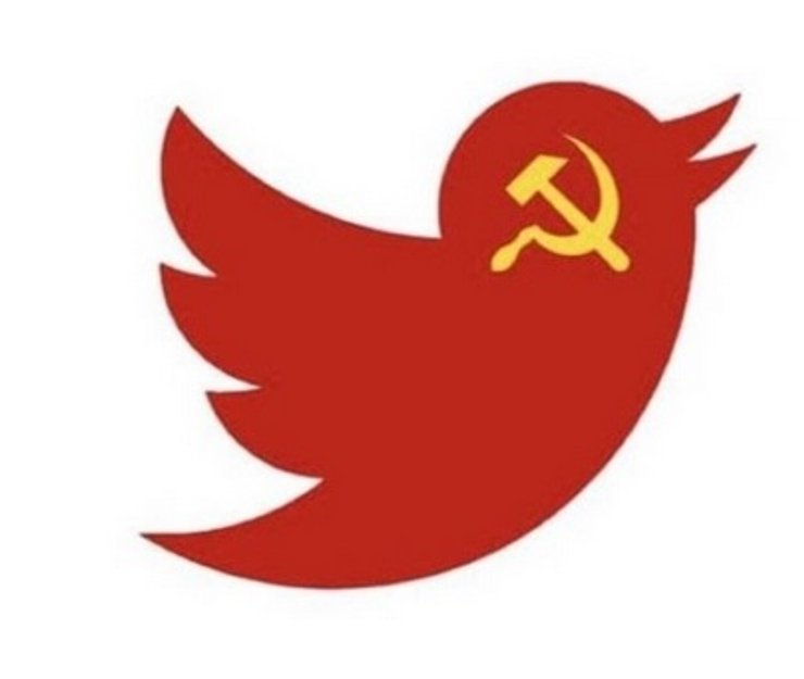 Twitter, соцсеть, аккаунт, сша, белый дом, дональд трамп, президентские выборы в сша 2020