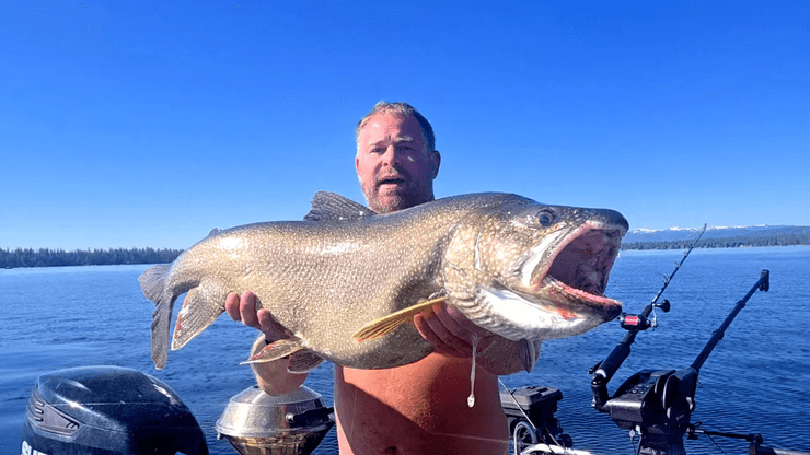 В США мужчина поймал в озере огромную форель и установил новый рекорд штата