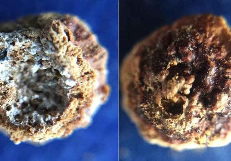 римські парфуми, античні парфуми , Університет Кордови, археологічна знахідка, мавзолей, кварцовий контейнер, аналіз парфумів, органічна хімія, Пліній Старший, дослідження, археологія, знахідка, розкопки, контейнер, парфуми, стародавні парфуми