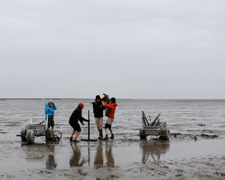 северное побережье Германии, штормовой прилив, археологическое открытие, методы геофизической визуализации, искусственные насыпи, фундамент церкви, торговый порт, историческая катастрофа, физические следы, катастрофический шторм