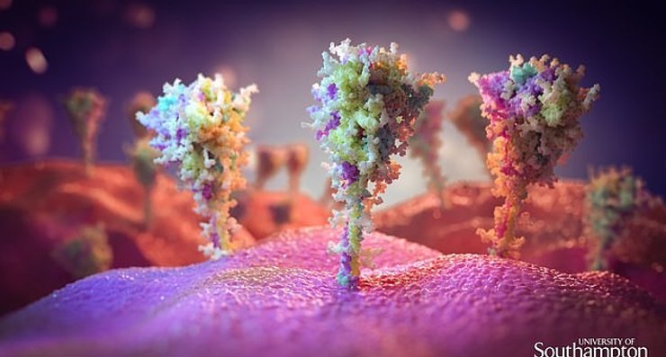 коронавирус, вакцина, AstraZeneca, Covid-19