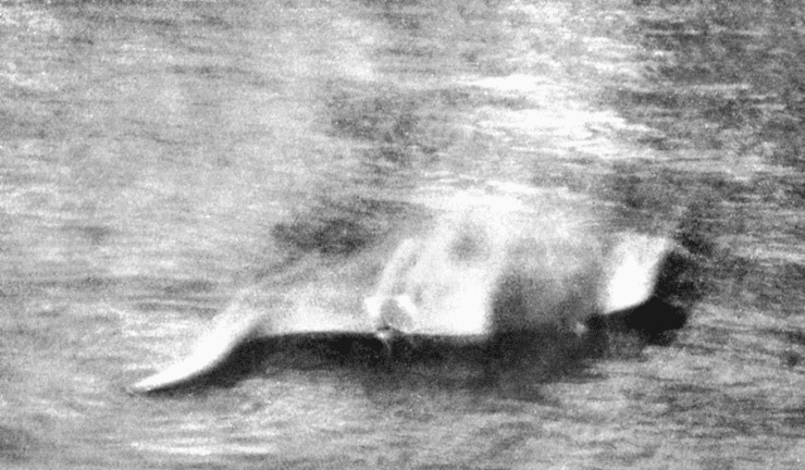 Лох-несское чудовище, лох-несс, несси, тайны природы, загадки природы, тайна озера