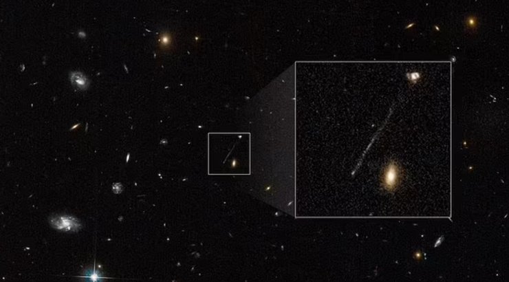 черная дыра, сбежавшая черная дыра, хвост из звезд