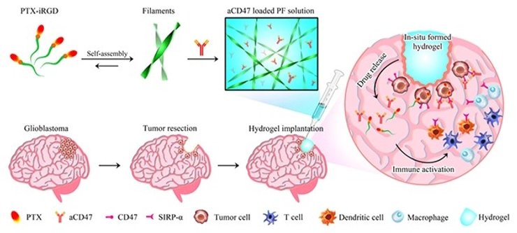 рак мозку гідрогель