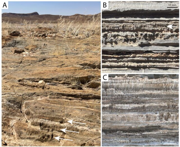 намібія, пустеля намібії, намібія пустеля