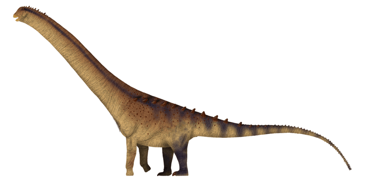 Динозавр, Patagotitan mayorum