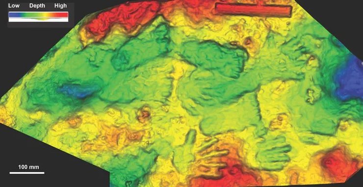 Трехмерная модель окаменелых отпечатков рук и ног в Кесанге в цвете, который показывает глубину отпечатков на поверхности