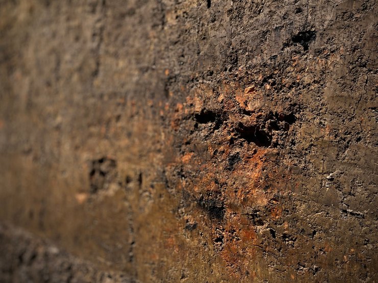 Ивано-Франковская область, Крылос, село Крылос, археология, археологические раскопки, раскопки, история Украины