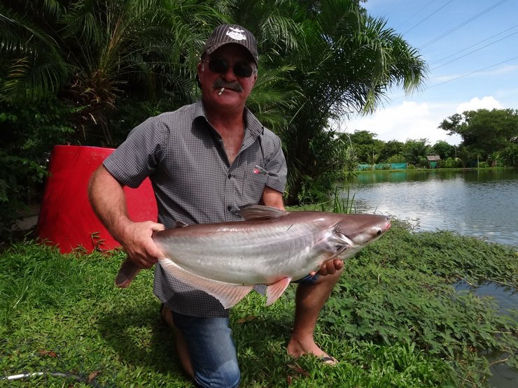 Погибший рыбак с уловом, рыбак с рыбой,  случаи нападения крокодилов на людей, крокодил съел человека, крокодил тащит человека, крокодил убил человека, нападение крокодила, нападение животных на людей, нападение диких животных, большая рыба, крупный улов, рыбалка в австралии
