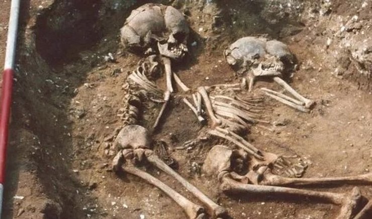 скелеты человека