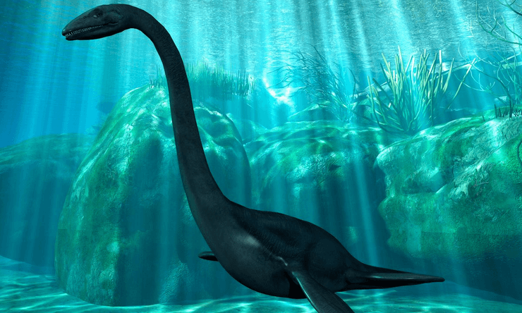 Морской змей, морское чудовище, Кэдди, кадборозавр, Несси, Лох-Несское чудовище, морской змей с головой лошади, морской зверь