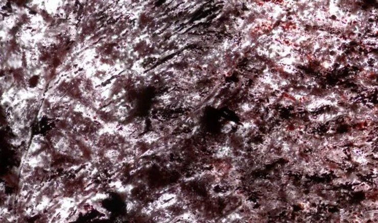 Еще в 2017 году ученые обнаружили микрофоссилии в осадочных породах, которые богаты железом, в Канаде. Тогда ученые предположили, что нити, выступы и трубки из гематита (минерал, состоящий из оксида железа) могли создать древние бактерии, которые жили рядом с гидротермальными источниками