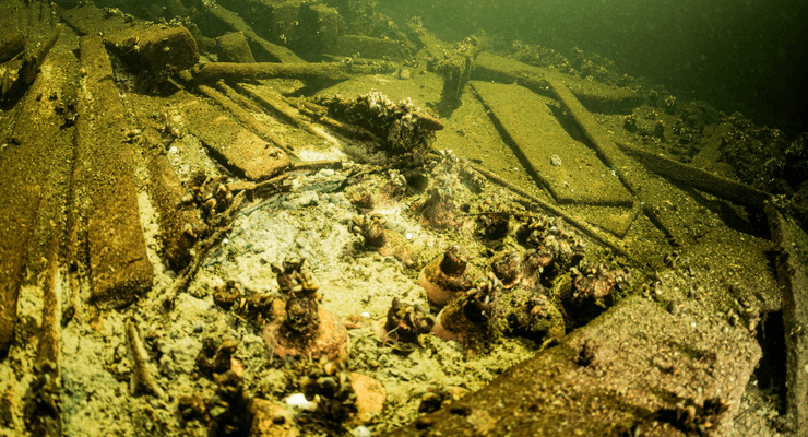 Шампанское, затонувший корабль, редкие сокровища, находка, находка на дне моря, группа дайверов, торговое судно
