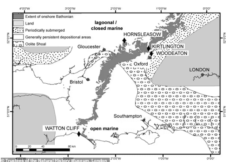 исследования, новые методы исследования, машинное обучение, находка, Великобритания, динозавр, древние животные, останки, окаменелость, раскопки, археология, палеонтология, зубы динозавра