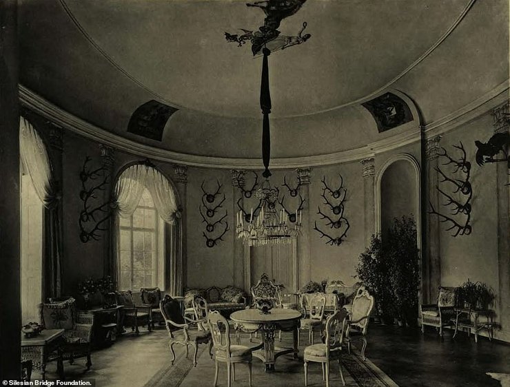 Маньківського, палац, скарб