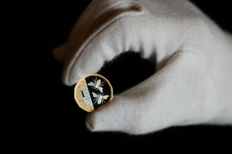 1 фунт стерлингов, монета, рука