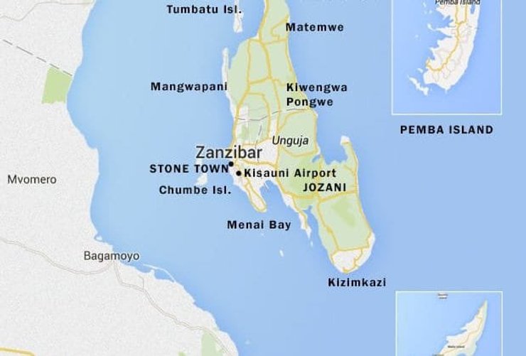 Олег Ніколенко, Туристи, Літак, Рейс, Занзібар