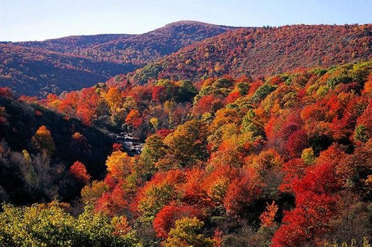 Гатлінбург, Теннессі, туризм