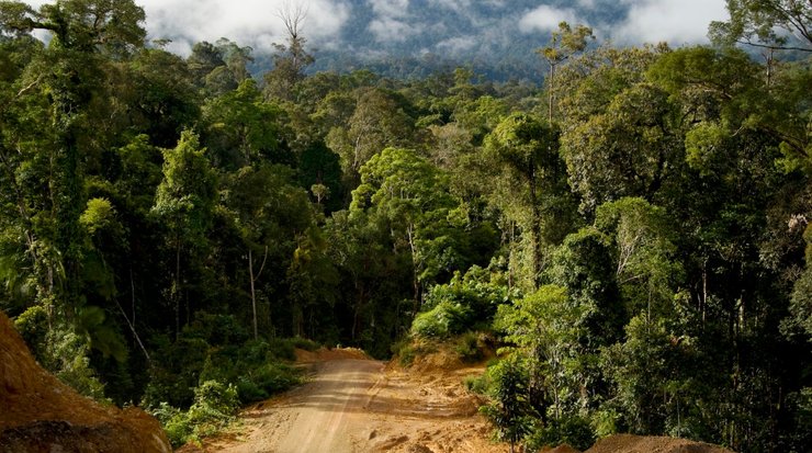 Земля, урожаи, сельское хозяйство
