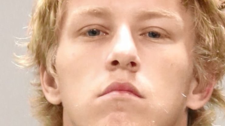 История о собаке, жестокое обращение, мужчина, ретривер