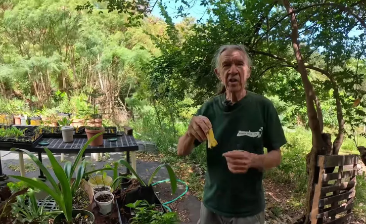 Жизнь дикарей в джунглях, пара прожила 50 лет без цивилизации, туризм, путешествия, необычный образ жизни, видео, США