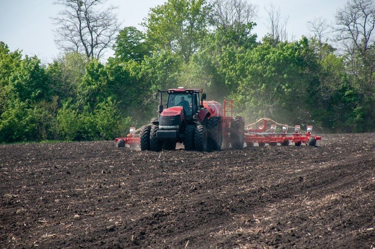 Посевные площади 2025 остаются на уровне прошлого года — 23 млн га