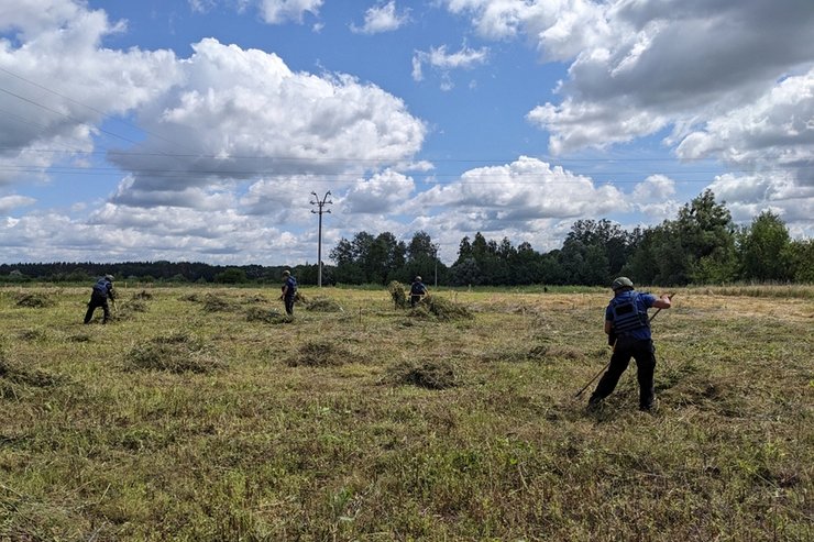саперы, разминирование, Украина